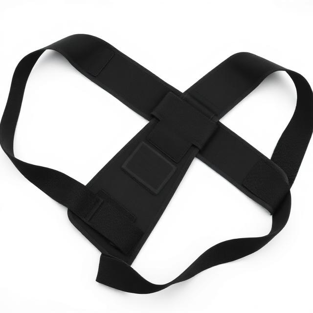 Back Brace